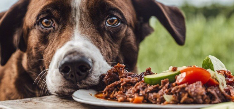 A dog and some food