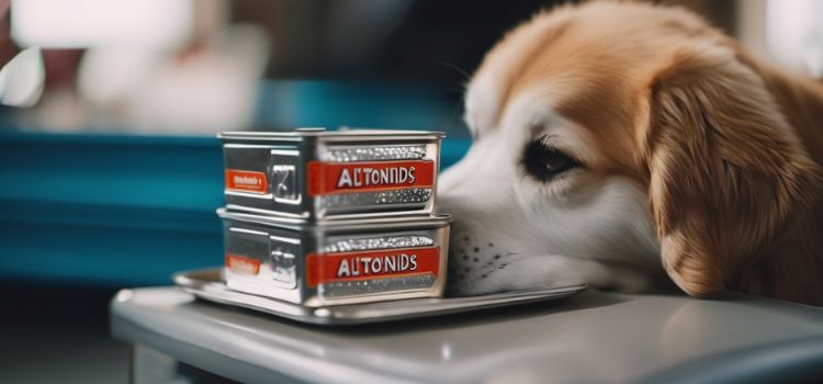 Can Dogs Eat Altoids