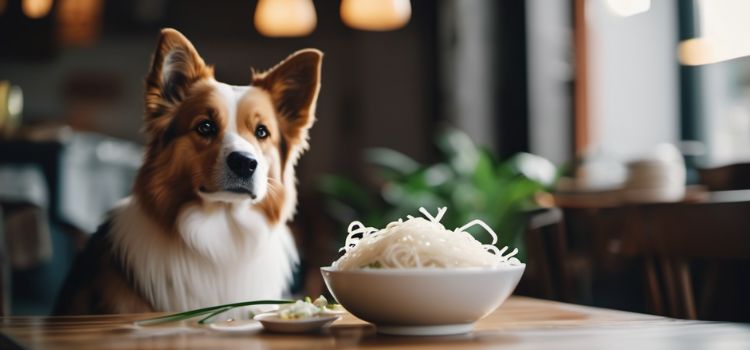 Can Dogs Eat Rice Noodles
