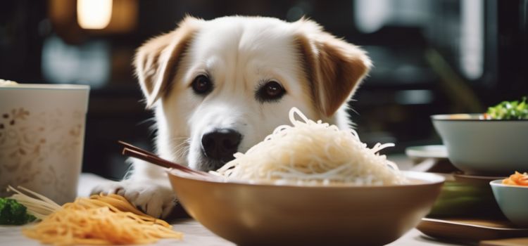 Can Dogs Eat Rice Noodles Unraveling The Doggy Dining!