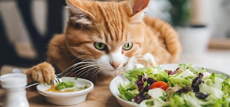 What's a Cat's Favorite Salad Dressing