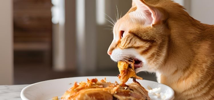 Can Cats Eat Rotisserie Chicken Vital Facts Unveiled